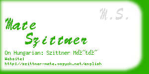 mate szittner business card